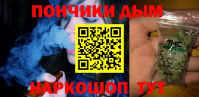 гашик Можга
