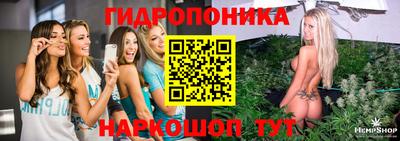 гашик Можга