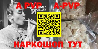 гашик Можга