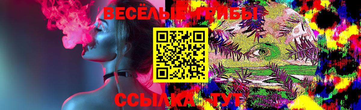 Галлюциногенные грибы GOLDEN TEACHER Борзя