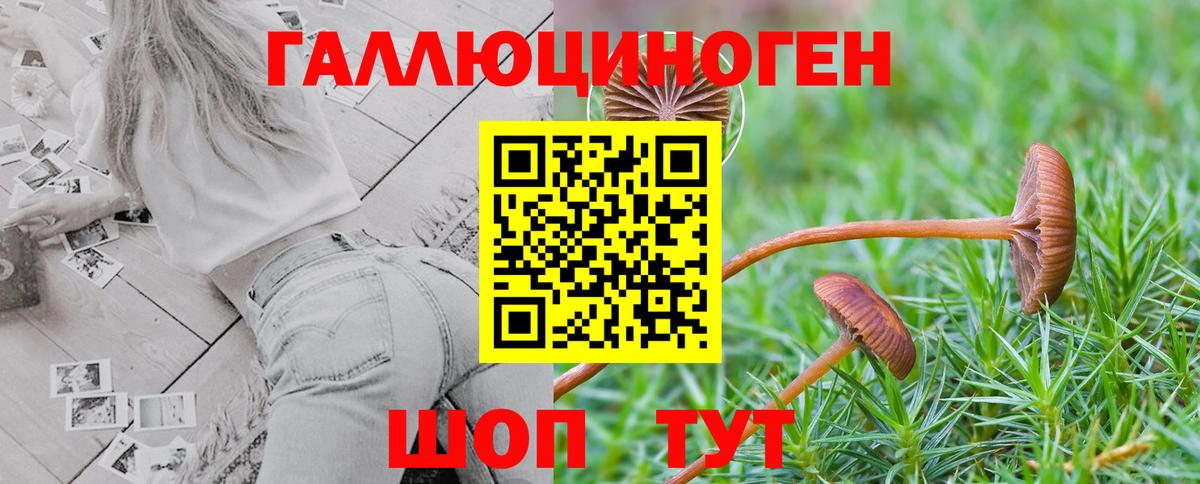 Галлюциногенные грибы мицелий  Вход с VPN  Псилоцибиновые грибы мицелий  как найти   Борзя 